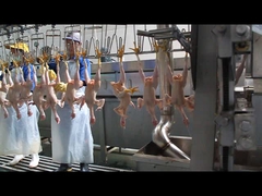 形状のピッカー