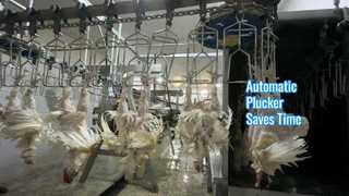 自動プラッカー