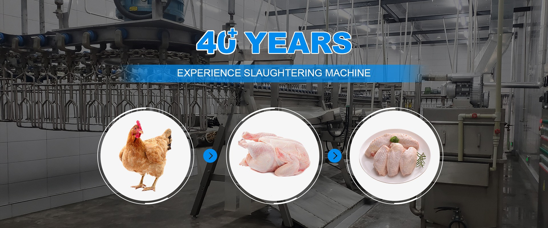 品質 鶏の屠殺機械 工場