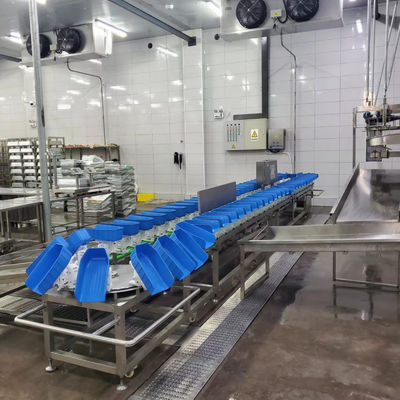 プラスチック用トレイ 鶏 アヒル 鶏帯 肉食用 肉食用 肉食用 肉食用 肉食用 肉食用 肉食用 肉食用 肉食用 肉食用 肉食用 肉食用 肉食用 肉食用