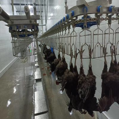 スタッドレスタイヤの鶏肉の屠殺ライン 柔軟な調整 鶏肉加工機械