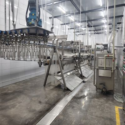 ステンレス鋼の屠殺加工ライン 500bph 10000bph 鶏肉の屠殺設備