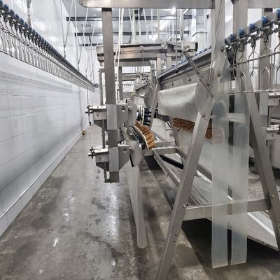 鶏肉の自動屠殺機 500-1000 BPH 鶏肉の屠殺ライン
