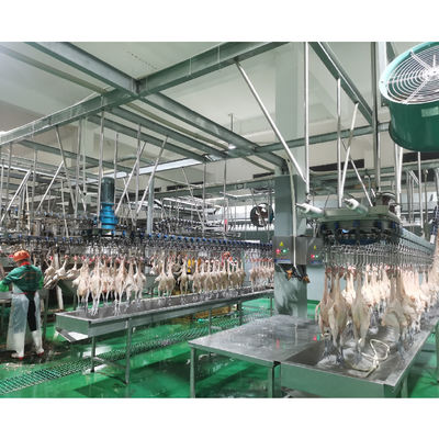 自動鶏肉加工工場 剥削機