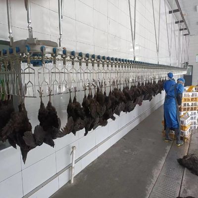 電気加熱 自動鶏肉焼却機 屠殺ライン