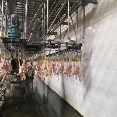 ステンレス鋼 304 トルコ 屠殺機 鶏肉 屠殺場 工場 機械