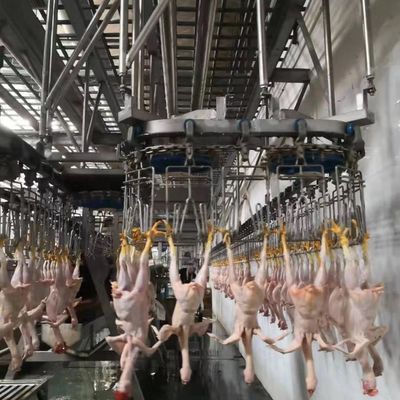 220V / 380V自動屠殺機 鶏肉の屠殺加工ライン