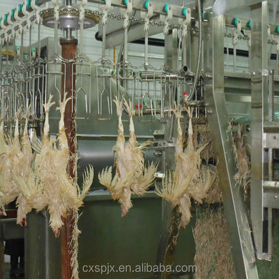 380V/220V 圧力の鶏肉加工機 鶏肉を剥き出し,ハラル屠殺