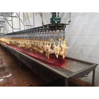 カスタマイズされたチキンダック トルコ 鶏肉のためのガチョウの屠殺機 2000BPH