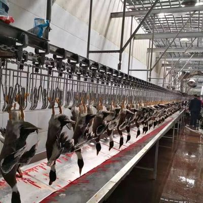 CE認証された家禽の屠殺装置 アヒルの家禽の屠殺ライン 600KG