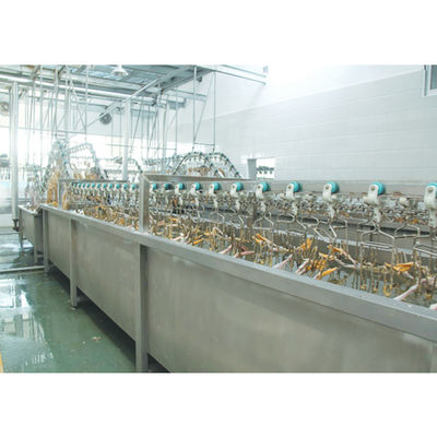 3000BPH アヒルの屠殺機 380V / 220V 鶏肉加工機器