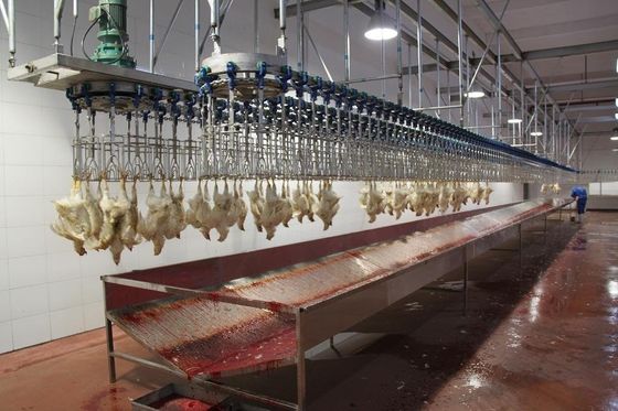 ブロイラー層 自動屠殺機 農場 ステンレス鋼 鶏肉 屠殺