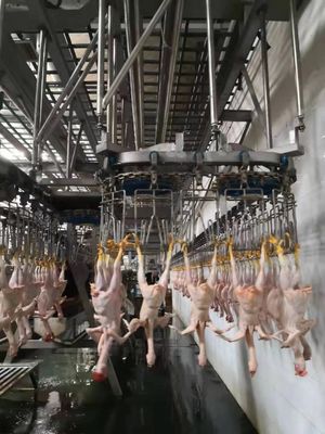 耐久性のある鶏肉の屠殺ライン 自動屠殺機械 TUV 承認