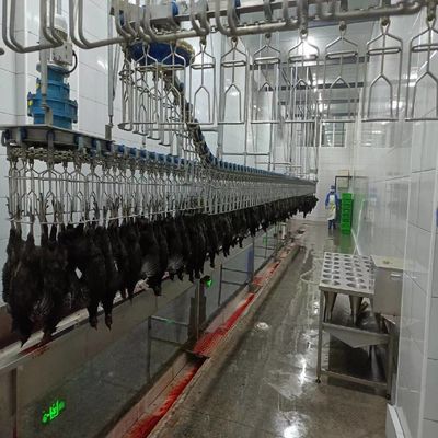 自動ハラル家禽の屠殺機 500bph 鶏の切り取機
