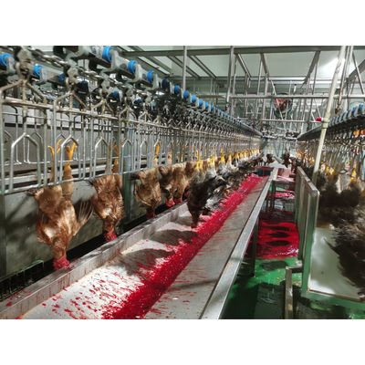 中国 不同鋼304 鶏肉の鶏肉の屠殺機 2000BPHの容量0f