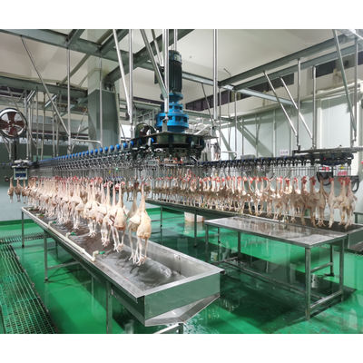 食品ショップ 鶏肉加工のための自動ハラル家禽鶏肉屠殺機