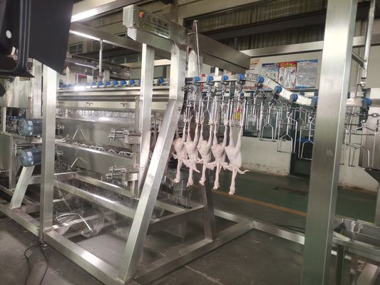 2000bph 中国 自動鶏加工工場 鉄鋼製の新品 屠殺設備 農場家禽の屠殺ライン