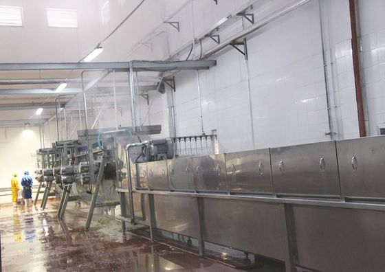 農場用電気麻酔 鶏肉の屠殺機 鶏肉のスーツ
