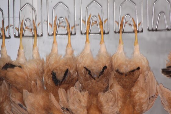 高効率ハラール鶏屠殺設備ターンキー家禽処理ライン、1時間あたり1000羽