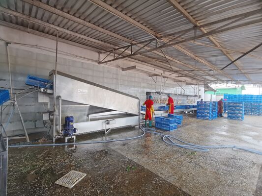 自動不?? 鋼 清掃 鶏ケージ 洗濯機 鶏ケージ クレージ 鶏ケージ 洗濯機 モーター ベアリング エンジン