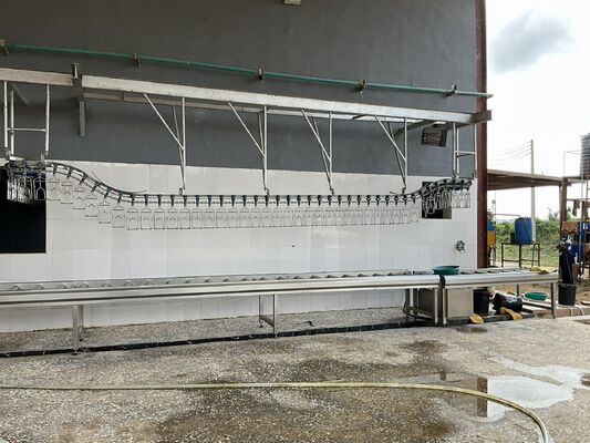 ハラール認証された高効率のターンキー家禽加工ライン,1時間あたり1000羽の鳥